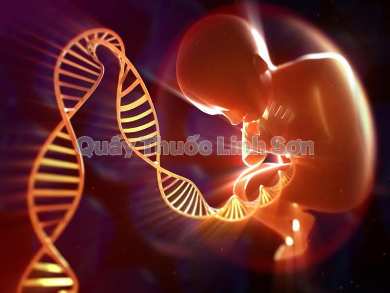 Chiều cao cân nặng của trẻ ảnh hưởng bởi gien di truyền