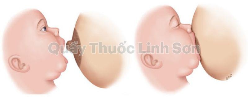 bé ngậm bắt vũ mẹ đúng cách 2