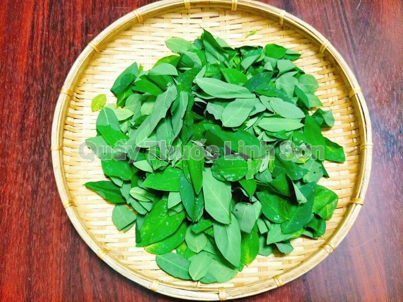 cách chữa nhiệt miệng bằng rau ngót