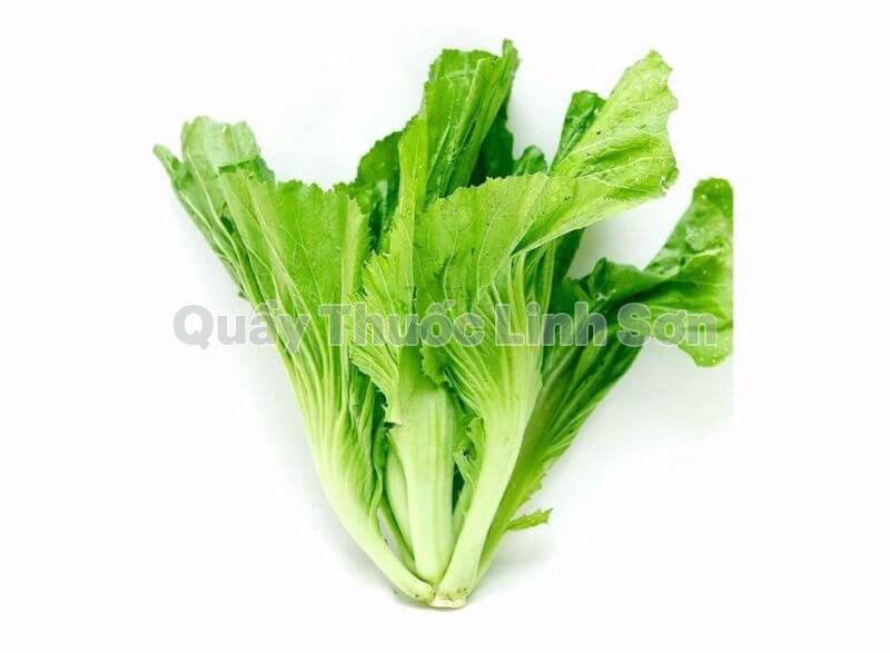 cải bẹ là thực phẩm giàu can xi