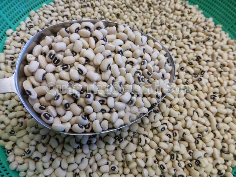 đậu trắng là thực phẩm giàu can xi