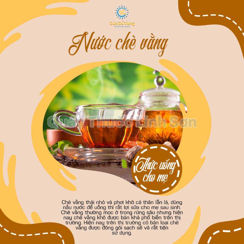 nước chè vằng là thức uống có lợi sữa cho mẹ bầu