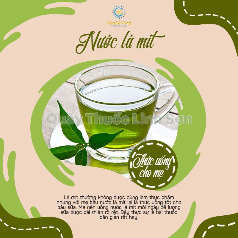 nước lá mít là thức uống lợi sữa cho mẹ bầu