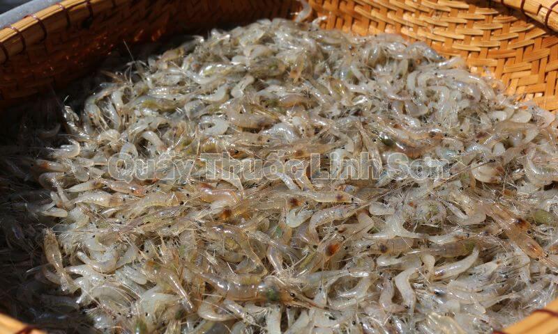 tép là thực phẩm giàu can xi