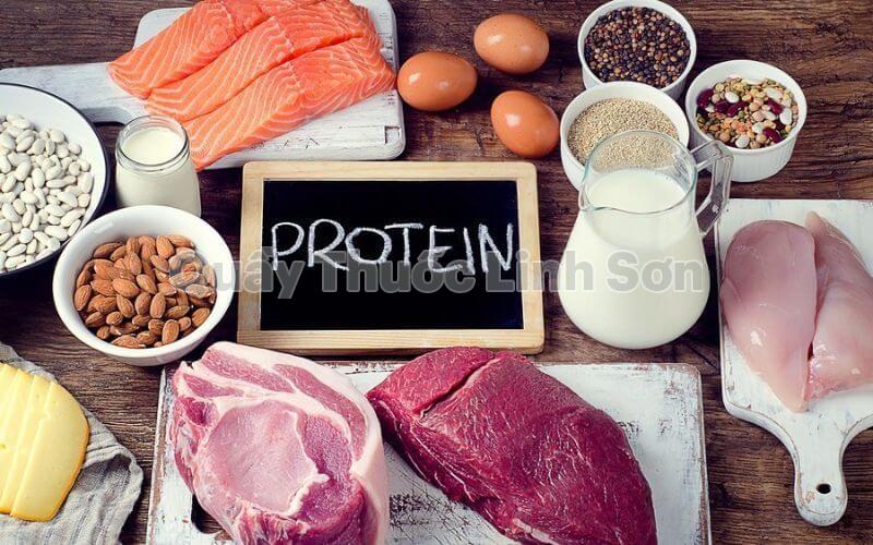 thực phẩm giàu protein rất cần thiết cho mẹ bầu dưỡng thai