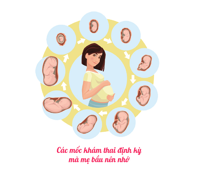 Lịch khám thai định kỳ chuẩn của bộ y tế